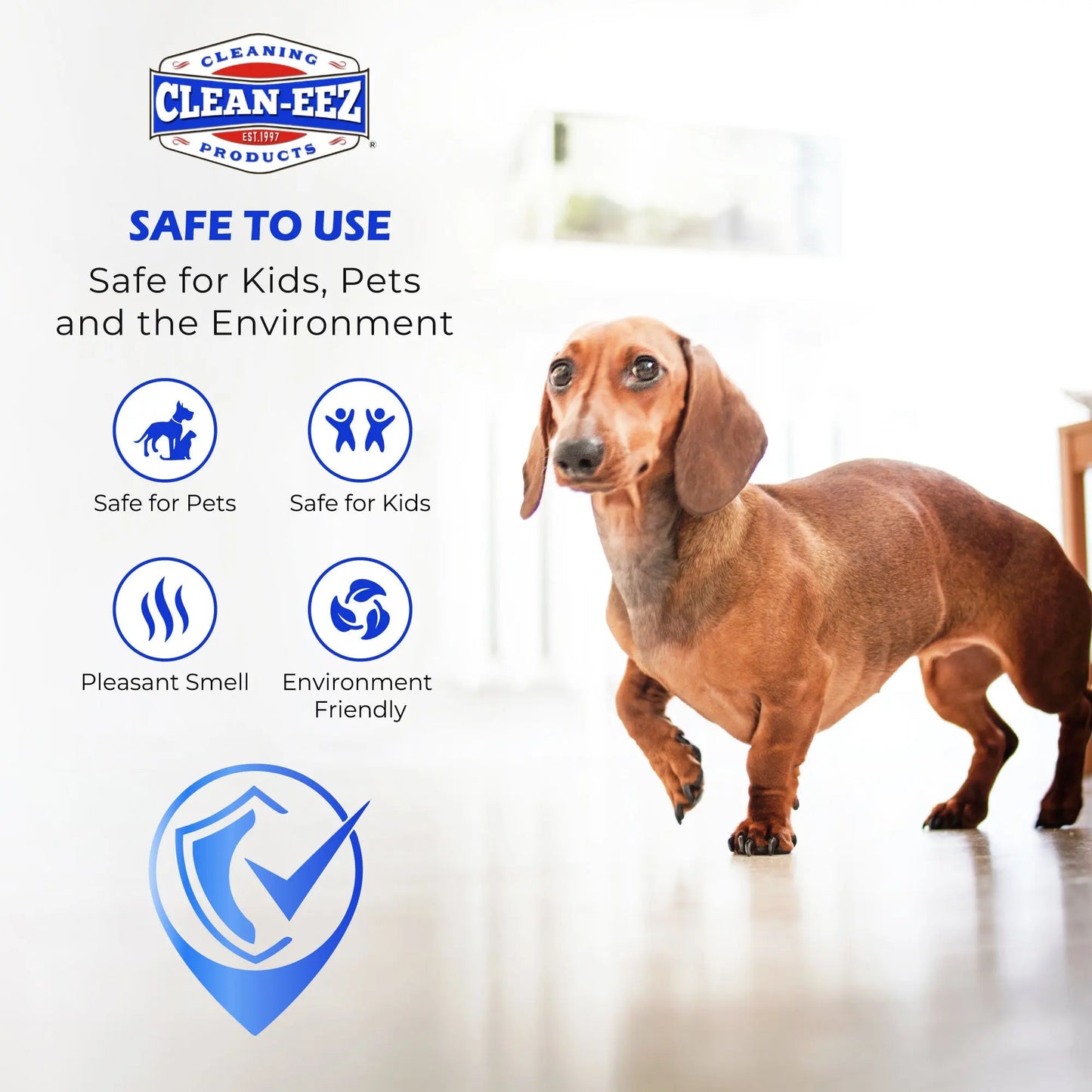 Restore-eez Polish & Restorer 32 oz